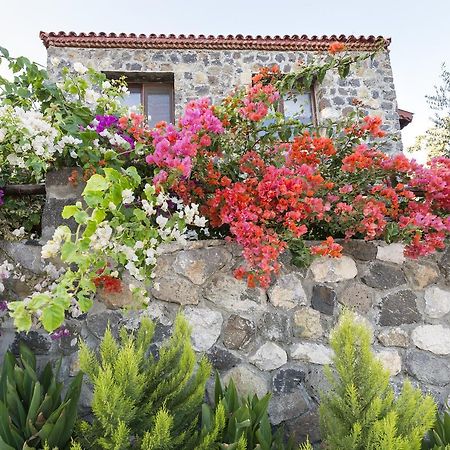 Karaburun Bahce Panzió Kültér fotó